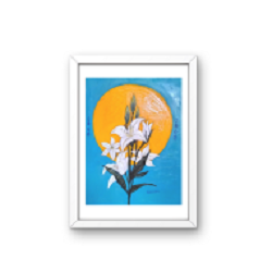 Lilies